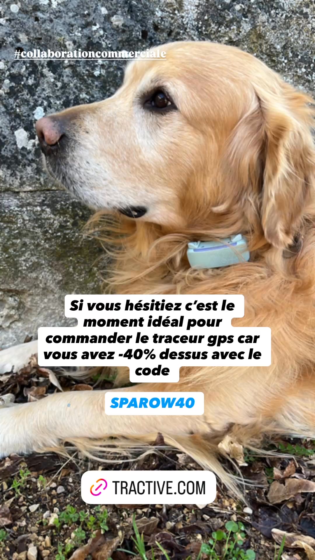 Profitez de –40 % sur nos colliers connectés pour chiens. Vivez des aventures printanières sereines et veillez à l'activité et à la santé de votre chien !